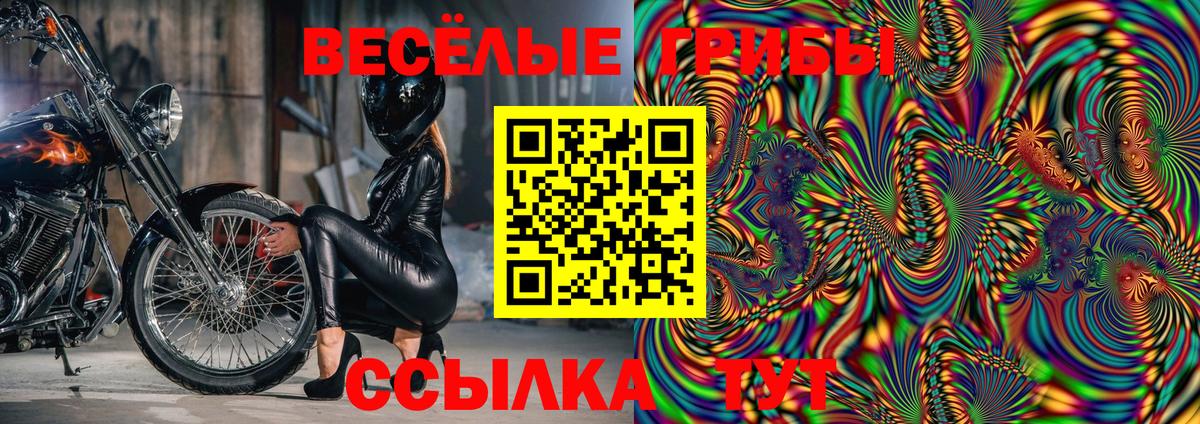 Галлюциногенные грибы Magic Shrooms  Галлюциногенные грибы GOLDEN TEACHER  как найти закладки  Вход с VPN  Вязники 